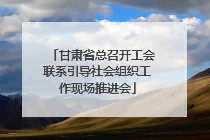 甘肃省总召开工会联系引导社会组织工作现场推进会