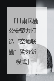 甘肃民勤公安聚力打造“空地联勤”警务新模式