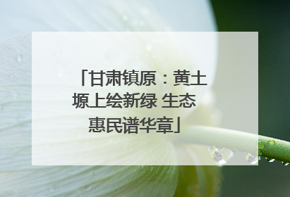 甘肃镇原：黄土塬上绘新绿 生态惠民谱华章