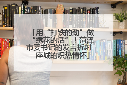 用“打铁的劲”做“绣花的活”！菏泽市委书记的发言折射一座城的炽热情怀