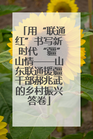 用“联通红”书写新时代“疆”山情——山东联通援疆干部郝兆武的乡村振兴答卷