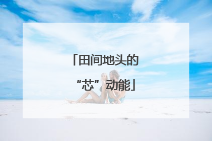 田间地头的“芯”动能