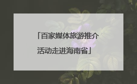 百家媒体旅游推介活动走进海南省