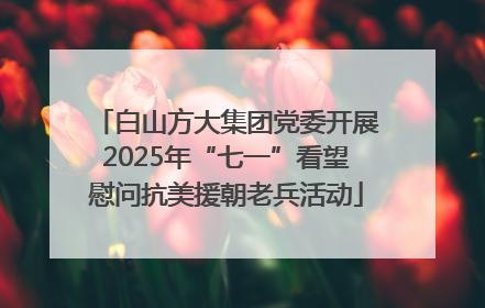 白山方大集团党委开展2025年“七一”看望慰问抗美援朝老兵活动