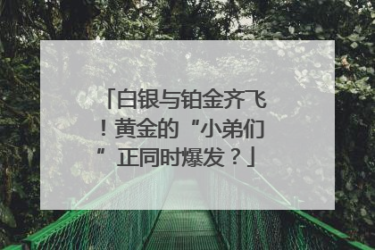 白银与铂金齐飞！黄金的“小弟们”正同时爆发？