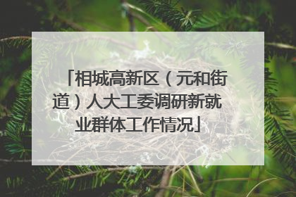 相城高新区（元和街道）人大工委调研新就业群体工作情况