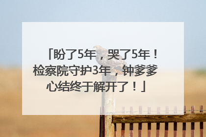 盼了5年，哭了5年！检察院守护3年，钟爹爹心结终于解开了！