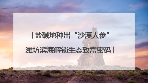 盐碱地种出“沙漠人参” 潍坊滨海解锁生态致富密码