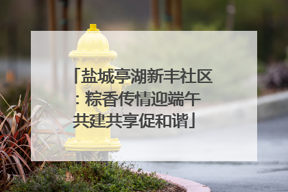 盐城亭湖新丰社区：粽香传情迎端午 共建共享促和谐