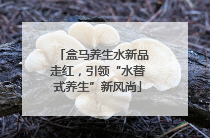 盒马养生水新品走红，引领“水替式养生”新风尚
