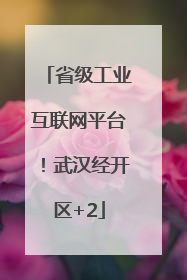 省级工业互联网平台！武汉经开区+2