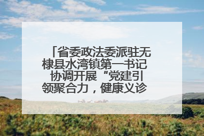 省委政法委派驻无棣县水湾镇第一书记 协调开展“党建引领聚合力，健康义诊惠乡亲”义诊活动