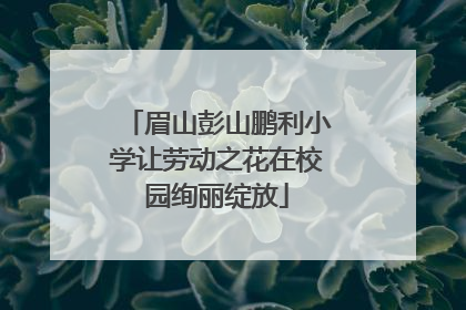 眉山彭山鹏利小学让劳动之花在校园绚丽绽放