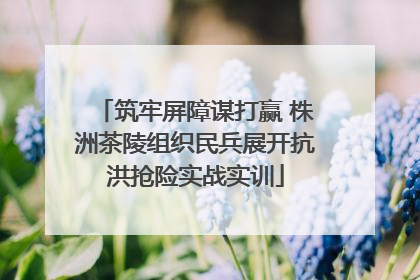 筑牢屏障谋打赢 株洲茶陵组织民兵展开抗洪抢险实战实训