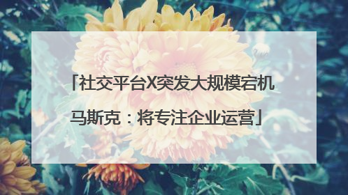 社交平台X突发大规模宕机 马斯克：将专注企业运营