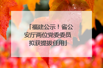 福建公示！省公安厅两位党委委员拟获提拔任用