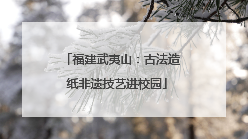 福建武夷山：古法造纸非遗技艺进校园