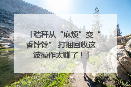 秸秆从“麻烦”变“香饽饽” 打捆回收这波操作太赚了！