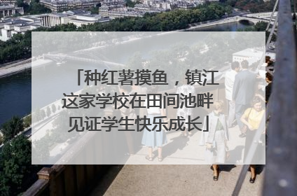 种红薯摸鱼，镇江这家学校在田间池畔见证学生快乐成长