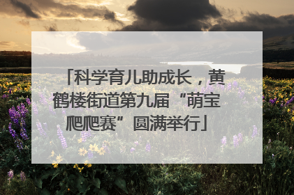 科学育儿助成长，黄鹤楼街道第九届“萌宝爬爬赛”圆满举行