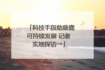 科技手段助麋鹿可持续发展 记者实地探访→
