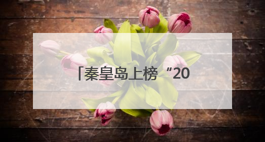 秦皇岛上榜“2024年全国游客满意度十佳城市”