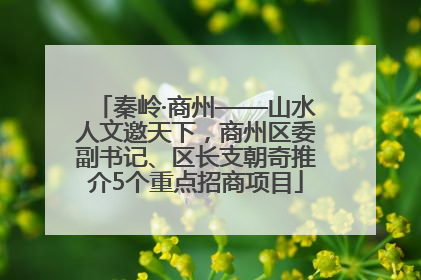 秦岭·商州——山水人文邀天下，商州区委副书记、区长支朝奇推介5个重点招商项目