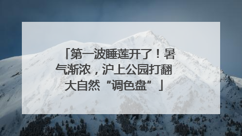 第一波睡莲开了！暑气渐浓，沪上公园打翻大自然“调色盘”