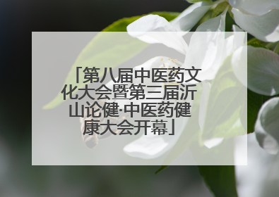 第八届中医药文化大会暨第三届沂山论健·中医药健康大会开幕