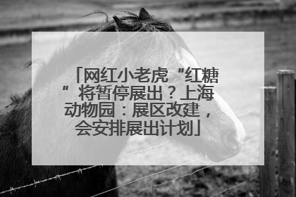 网红小老虎“红糖”将暂停展出？上海动物园：展区改建，会安排展出计划