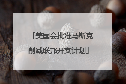 美国会批准马斯克削减联邦开支计划