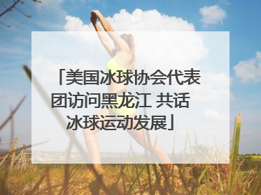 美国冰球协会代表团访问黑龙江 共话冰球运动发展