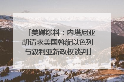 美媒爆料：内塔尼亚胡请求美国斡旋以色列与叙利亚新政权谈判