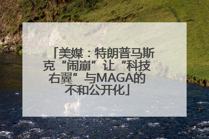 美媒：特朗普马斯克“闹崩”让“科技右翼”与MAGA的不和公开化