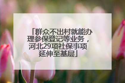 群众不出村就能办理参保登记等业务，河北29项社保事项延伸至基层