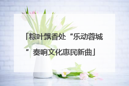 粽叶飘香处“乐动蓉城”奏响文化惠民新曲