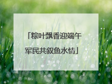 粽叶飘香迎端午 军民共叙鱼水情