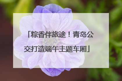 粽香伴旅途！青岛公交打造端午主题车厢