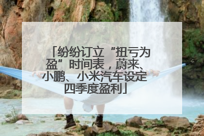 纷纷订立“扭亏为盈”时间表，蔚来、小鹏、小米汽车设定四季度盈利