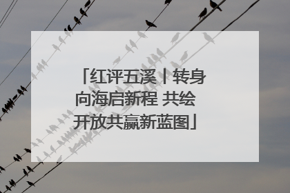 红评五溪丨转身向海启新程 共绘开放共赢新蓝图