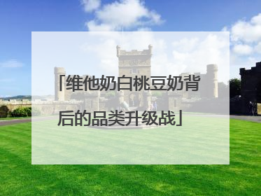维他奶白桃豆奶背后的品类升级战