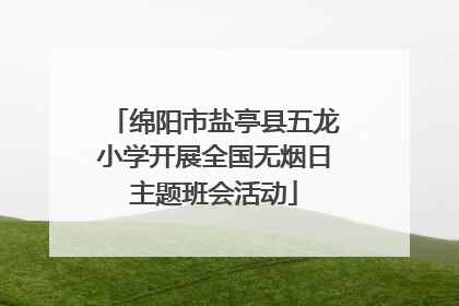 绵阳市盐亭县五龙小学开展全国无烟日主题班会活动