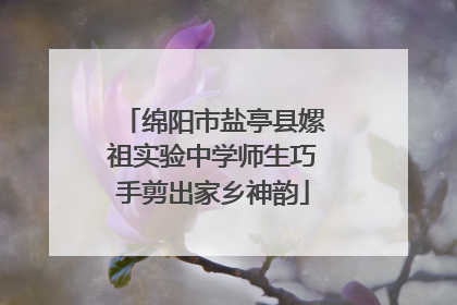 绵阳市盐亭县嫘祖实验中学师生巧手剪出家乡神韵