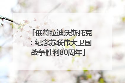 俄符拉迪沃斯托克：纪念苏联伟大卫国战争胜利80周年