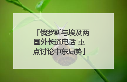 俄罗斯与埃及两国外长通电话 重点讨论中东局势
