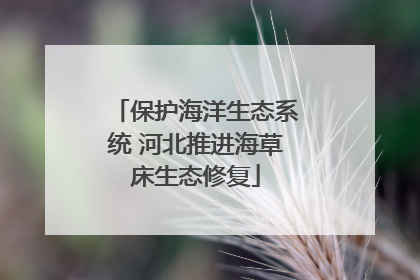 保护海洋生态系统 河北推进海草床生态修复