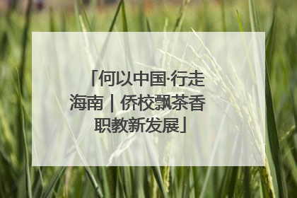 何以中国·行走海南｜侨校飘茶香 职教新发展