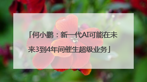 何小鹏：新一代AI可能在未来3到4年间催生超级业务
