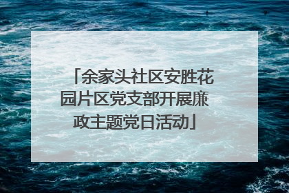 余家头社区安胜花园片区党支部开展廉政主题党日活动