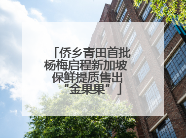 侨乡青田首批杨梅启程新加坡 保鲜提质售出“金果果”